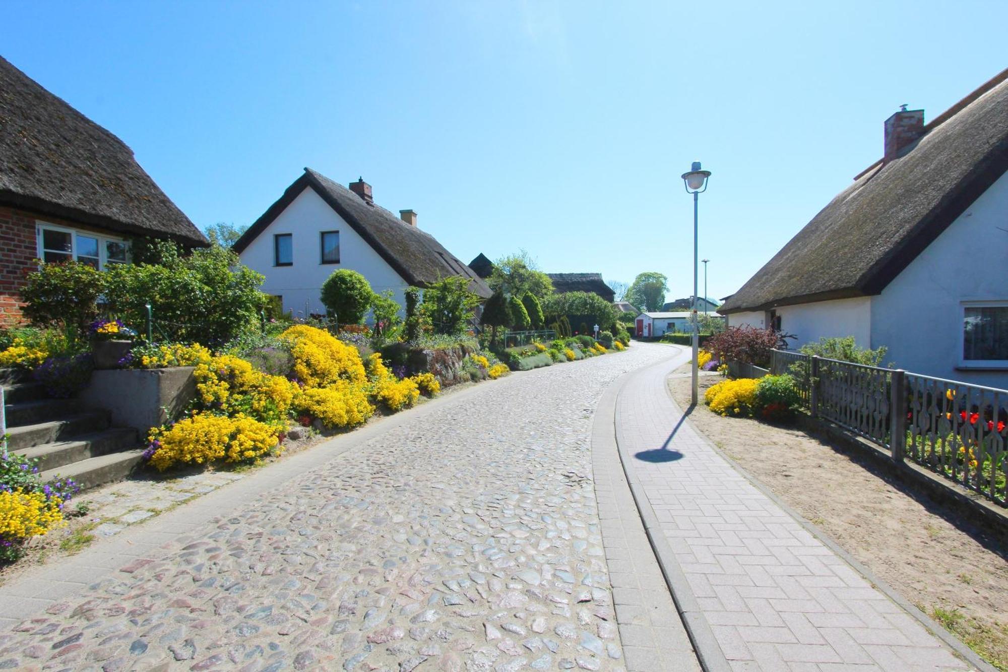 Ferienhaus Distelfink Fewo 04 Terrasse, Meerblick Gross Zicker Экстерьер фото